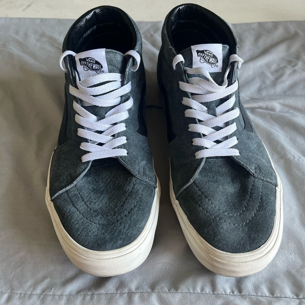 Vans skate shoe